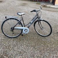 Bici carnielli da vita quotidiana