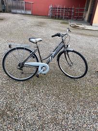 Bici carnielli da vita quotidiana