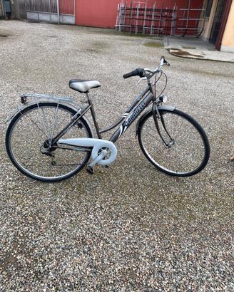 Bici carnielli da vita quotidiana