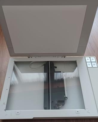 Scanner Epson Perfection V10