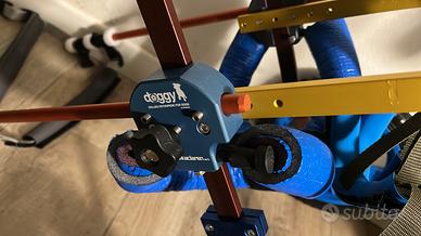 Carrellino cane disabile