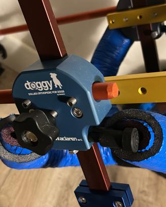 Carrellino cane disabile