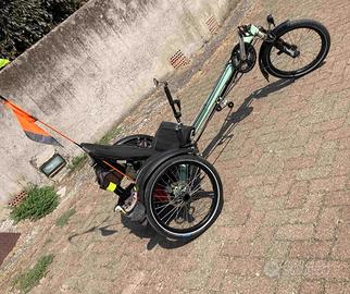 bici reclinata trike (B)