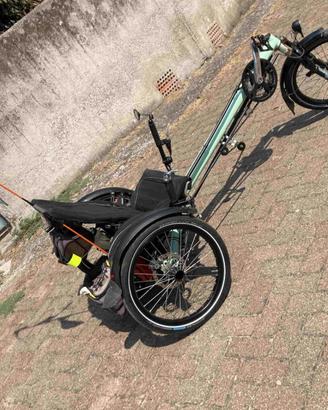 bici reclinata trike (B)