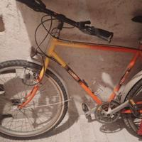 Bicicletta Mountain bike