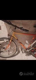 Bicicletta Mountain bike
