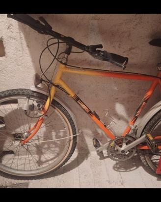Bicicletta Mountain bike