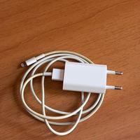 Caricabatterie Iphone