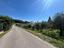 Immagine 13