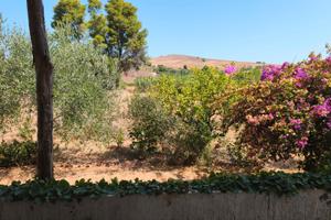 Casa di Campagna con Terreno in Contrada specchia
