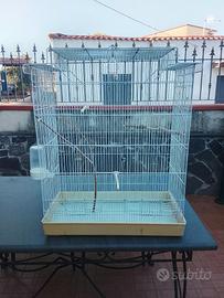 gabbia per canarini 