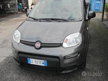 PANDA 1.0 HYBRID CYTYLIFE GARANZIA