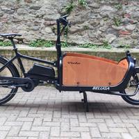 Cargo Bike Beluga 250W