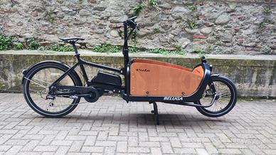 Cargo Bike Beluga 250W