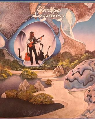 BEGINNINGS ~ STEVE HOWE
