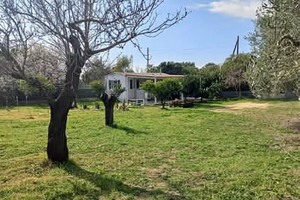 Terreno agricolo di 1000mq recintato