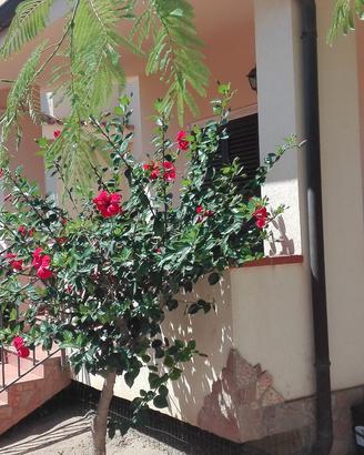 Casa vacanze in villa