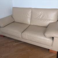 2 divani in pelle