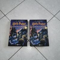 Harry Potter e la pietra filosofale