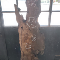 Tavole Legno Ulivo grezze tavoli resina e altro