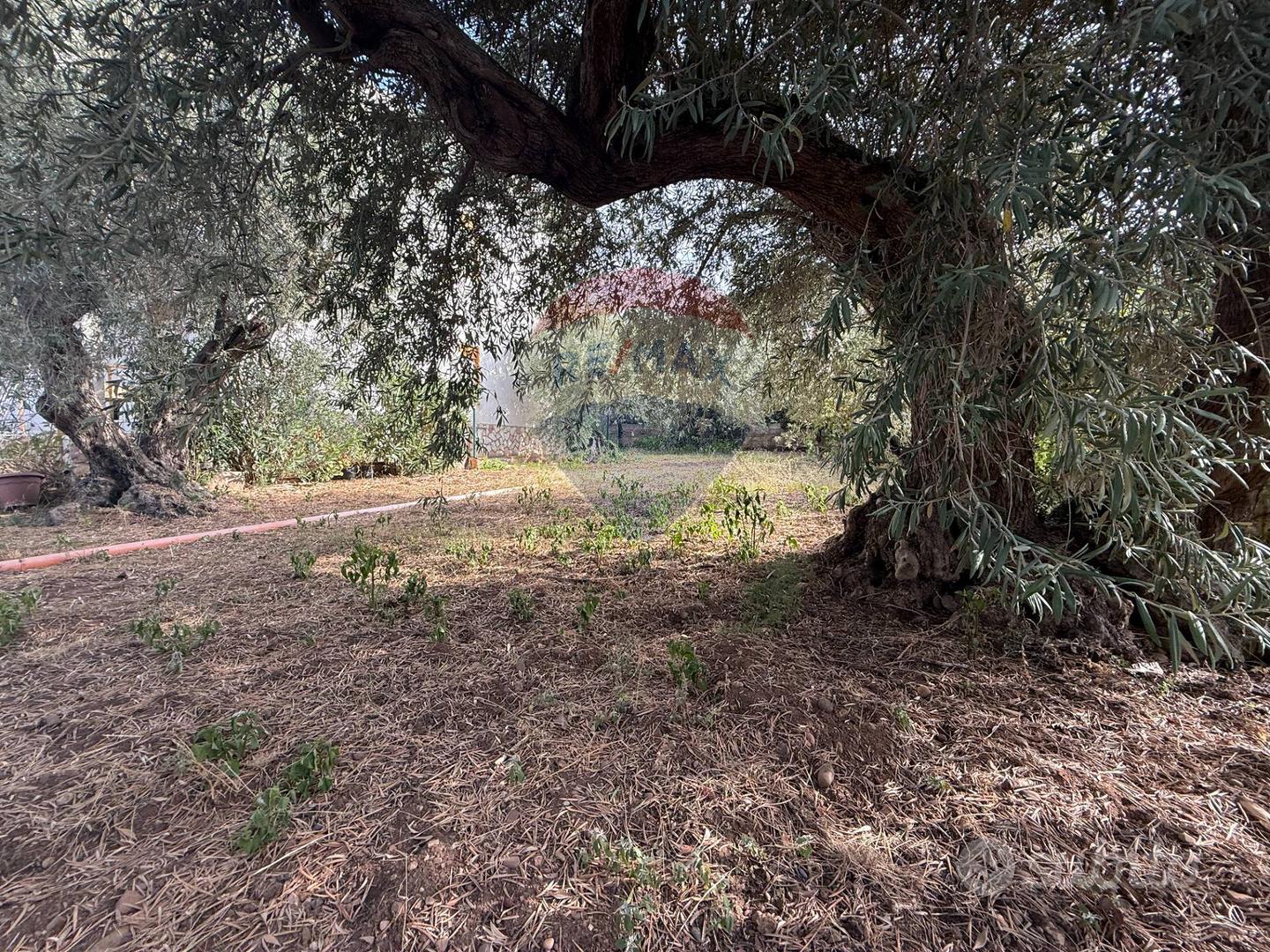 House in Altavilla Milicia, San Michele - Vista 5