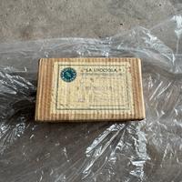 La lucciola vespa bacchetta