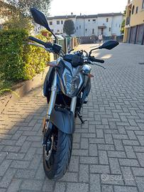 Brivido voge 500r