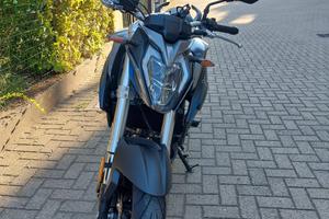 Brivido voge 500r