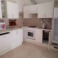 Cucina lineare con elettrodomestici