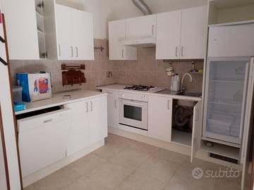 Cucina lineare con elettrodomestici