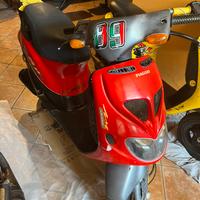 Zip sp prima serie