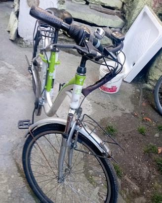 bicicletta elettrica e frigorifero amirecano 