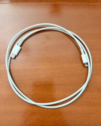 Cavo alimentatore Apple