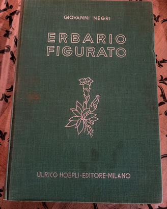ERBARIO FIGURATO