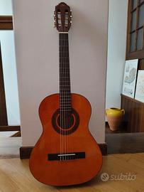 chitarra Eko
