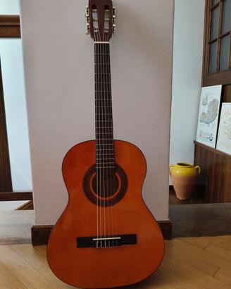 chitarra Eko