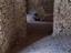 Immagine 9
