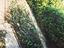 Immagine 30