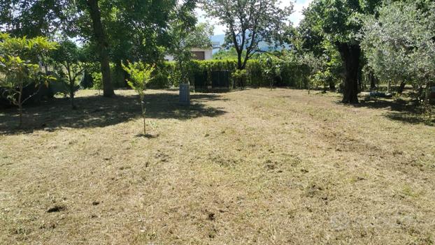 Terreno agricolo recintato a Santo Stefano