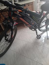 bici elettrica 