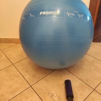 Set fitness