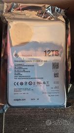 hard disk Seagate Enterprise da 12TB x2