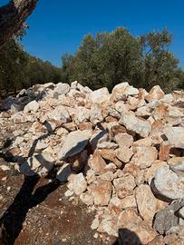 Pietre e rocce pugliesi
