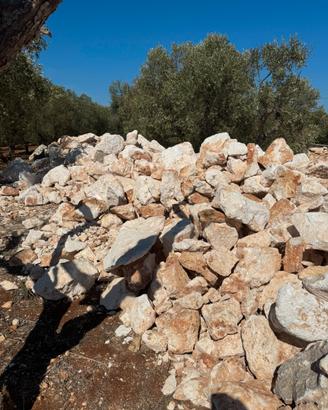 Pietre e rocce pugliesi