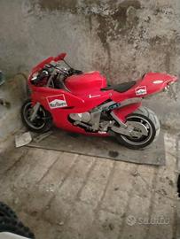 Replica ovhale 110cc
