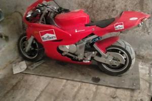 Replica ovhale 110cc