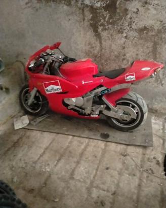 Replica ovhale 110cc