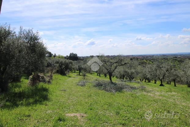 TER. AGRICOLO A FONTE NUOVA