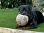 Immagine 6