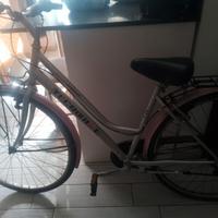 Bicicletta tecno bike con 4/5 cambi